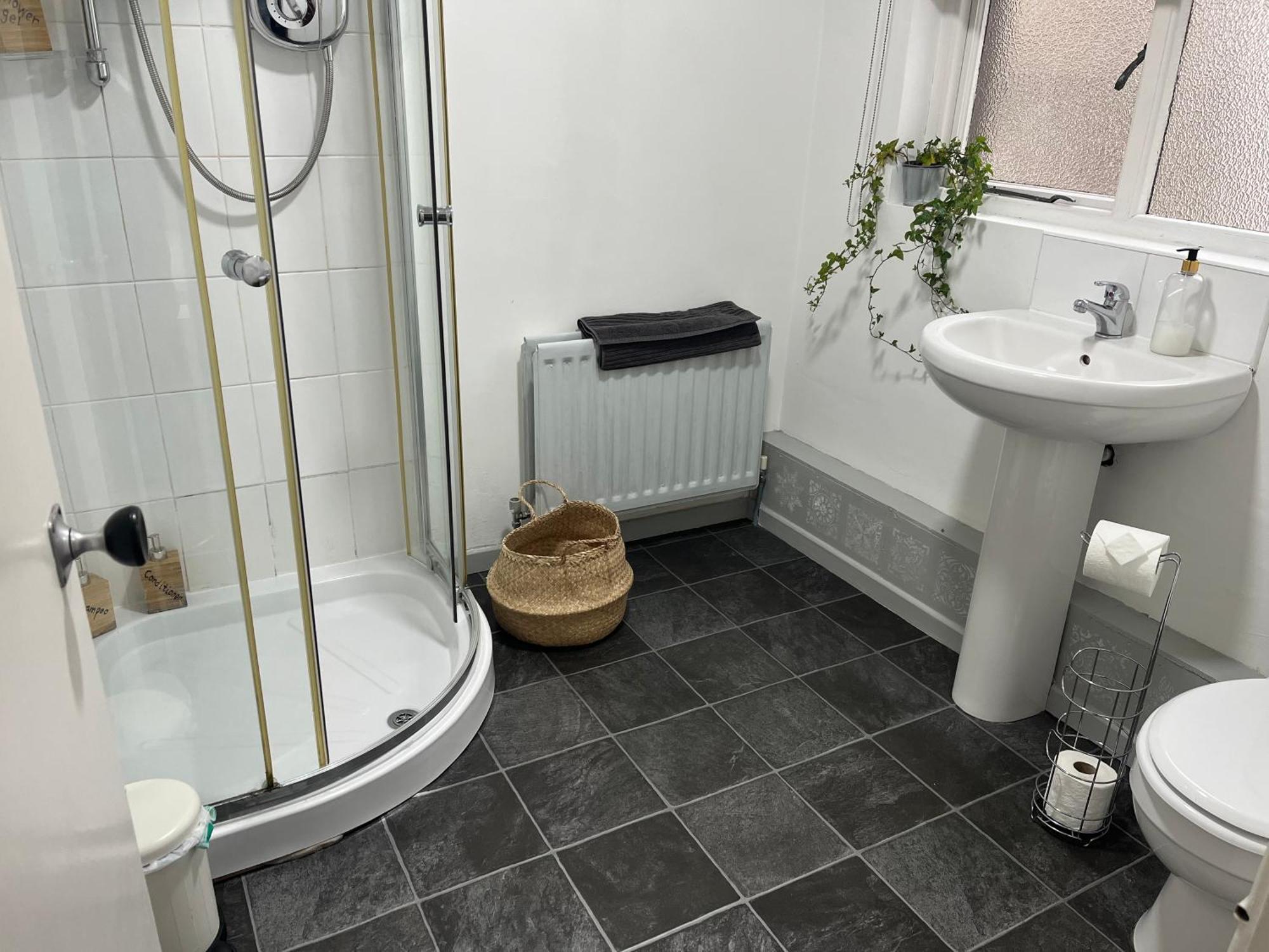 Elderberry Apartment بلفاست المظهر الخارجي الصورة