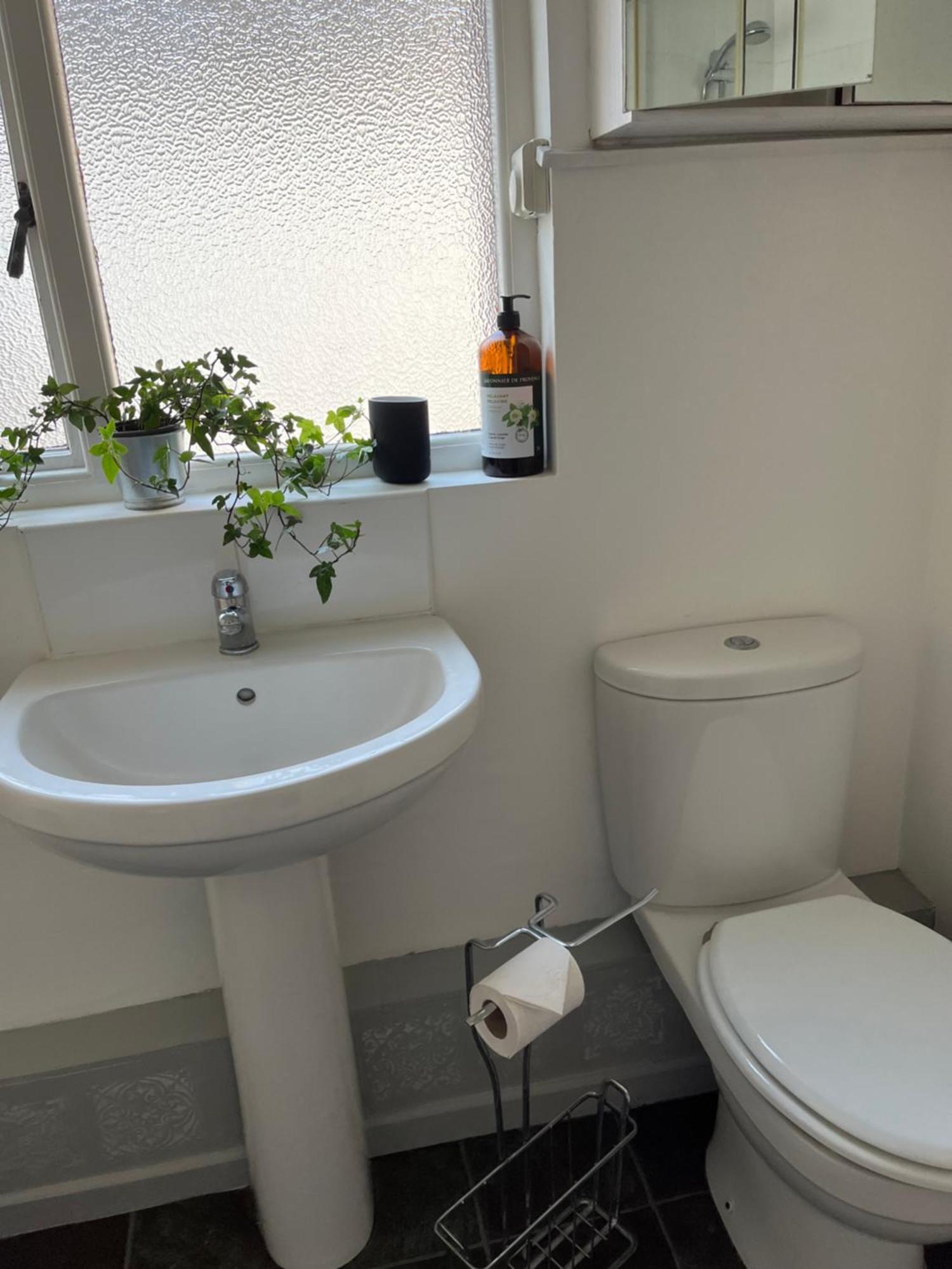 Elderberry Apartment بلفاست المظهر الخارجي الصورة
